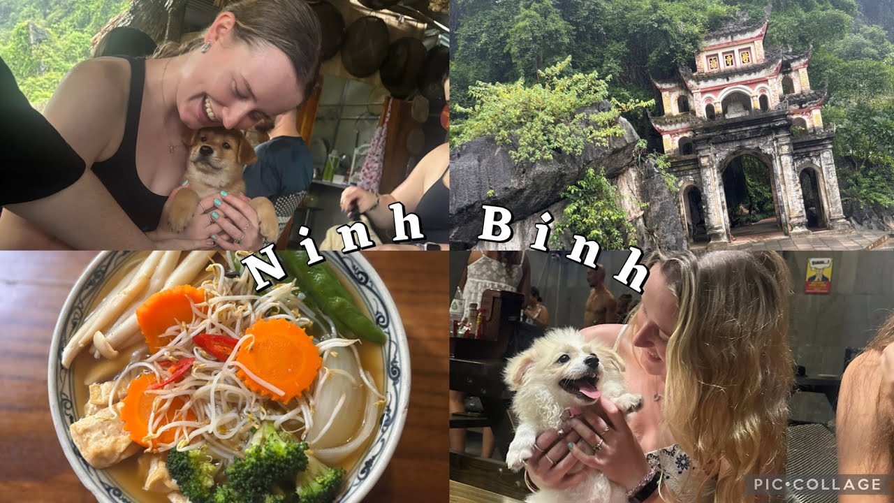 Ninh Binh Vlog☔️🚴‍♀️| 25th September - 26th September