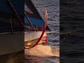 Pure beauty 🫠 🎥 team_malizia #sunrise  #imocaglobeseries #sailing