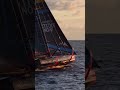Pure beauty 🫠 🎥 team_malizia #sunrise  #imocaglobeseries #sailing