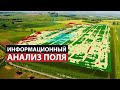 Информационный анализ поля