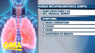 What to know about human metapneumovirus l GMA