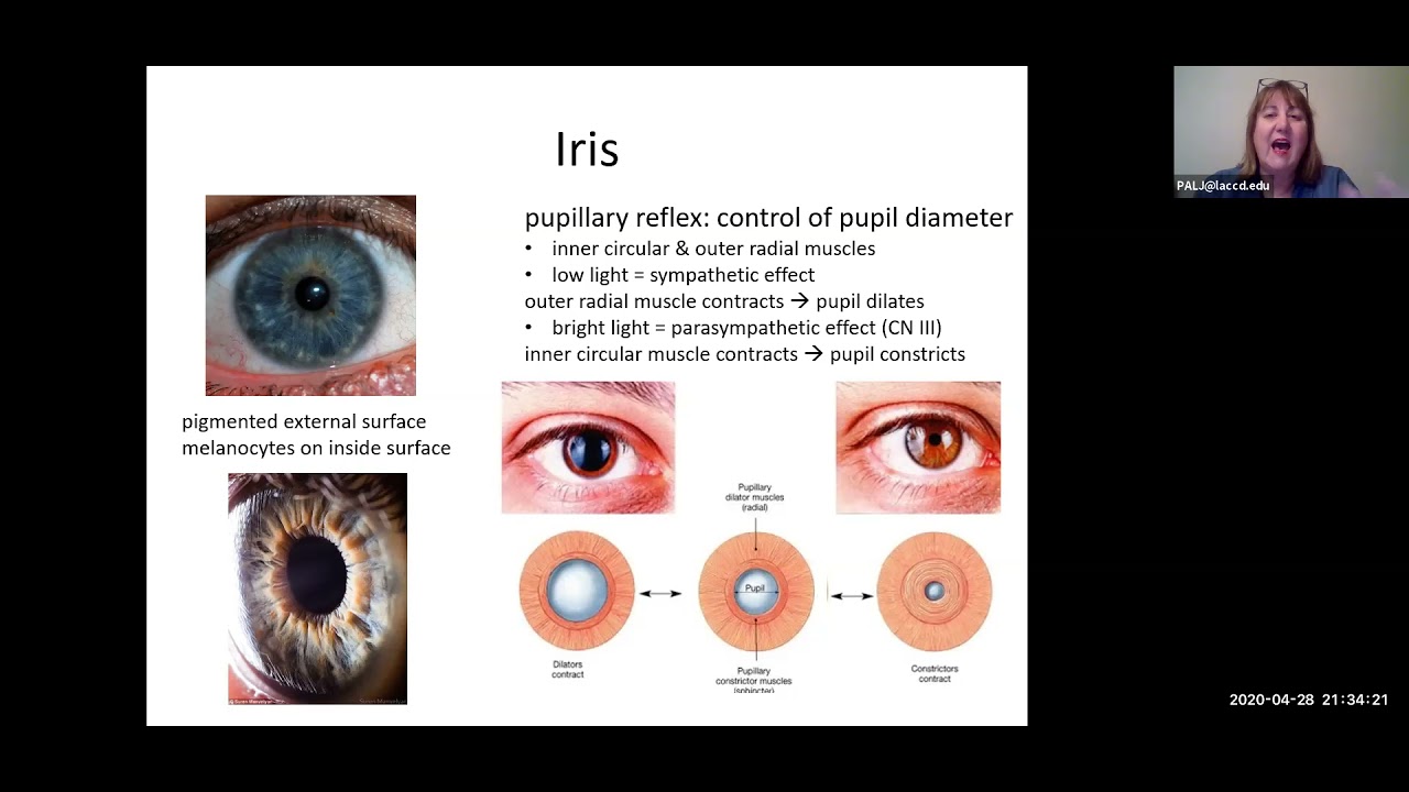 Vision Structures SS 2 vision structures lecture (19 min) - YouTube