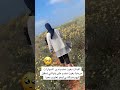 البنات الله فرحكم متناسون ليك اشتراك