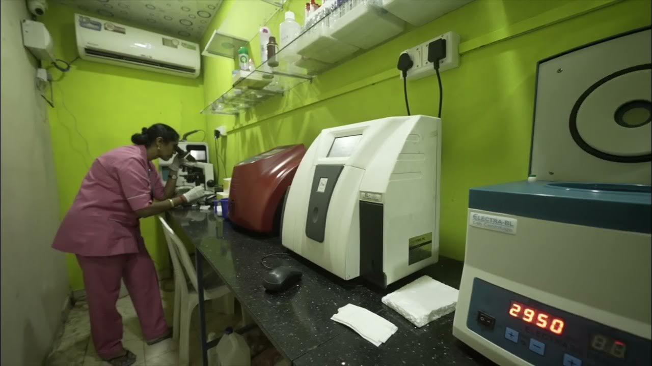 Medical Lab Test YouTube