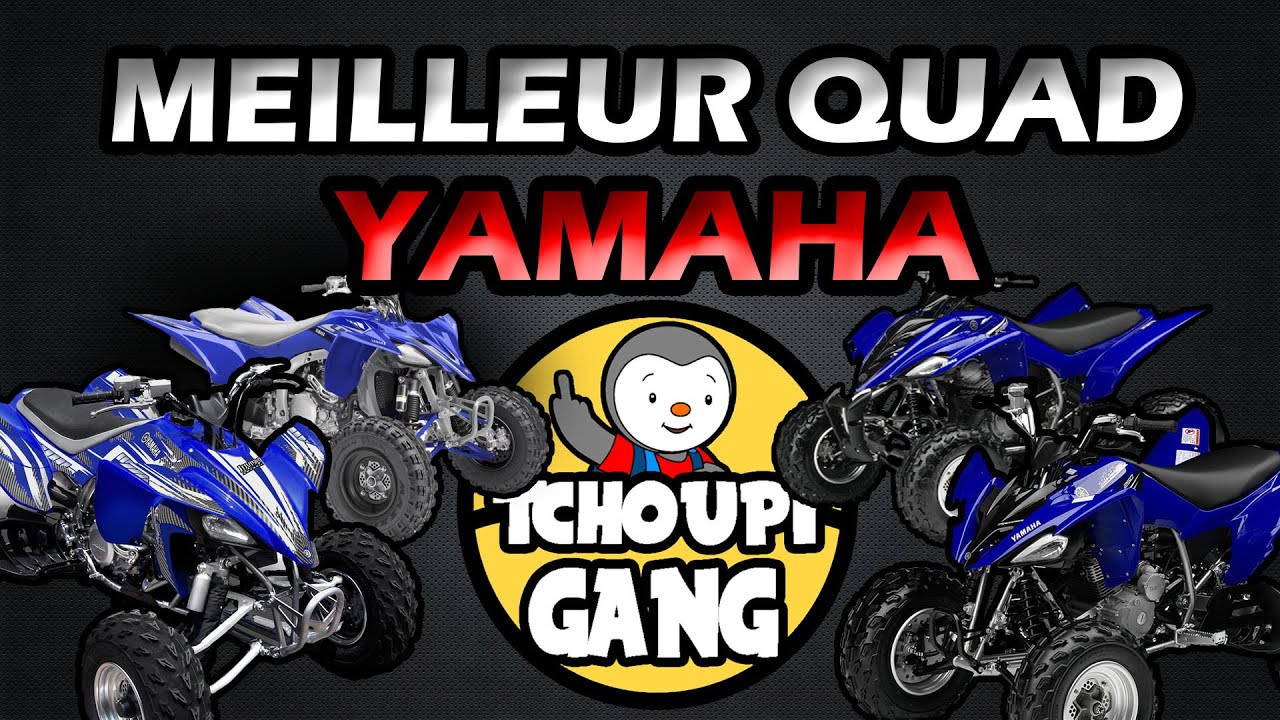 250 VS 350 VS 450 Quel RAPTOR choisir ?!?...