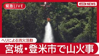 【緊急ライブ：ヘリ空撮】宮城・登米市で山火事発生　ポンプ車など15台出動も鎮火のめどたたず　地元消防【LIVE】(2025年7月29日) ANN/テレ朝