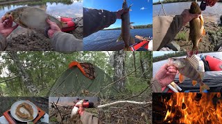видео: ВОТ ОНА! НАСТОЯЩАЯ РЫБАЛКА! Один, с Ночёвкой в палатке, в Дали от цивилизации! Полный отрыв! Лозьва! картинка: ВОТ ОНА! НАСТОЯЩАЯ РЫБАЛКА! Один, с Ночёвкой в палатке, в Дали от цивилизации! Полный отрыв! Лозьва!