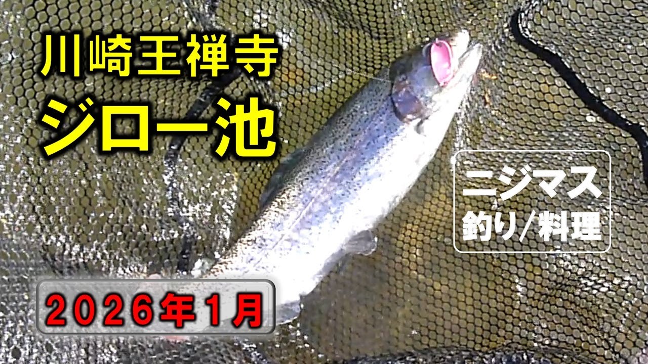 ベリーパーク Fish On！王禅寺でニジマス釣り！久々の釣行で満足の釣果🎣 / Rainbow Trout Fishing at Ozenji - First Trip in a While!