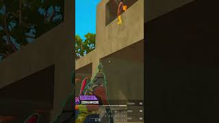 Bəzən balıqlar da uça bilir. Ucan hamsi