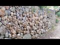 These guys got so stoned, they turned into a rock wall (Pareidolia experiment)
