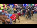 خيل وخيالة رقص خيل على أنغام مزمار صعيدي تيسير أبو سويرح عازف الاورج عبود دحلان