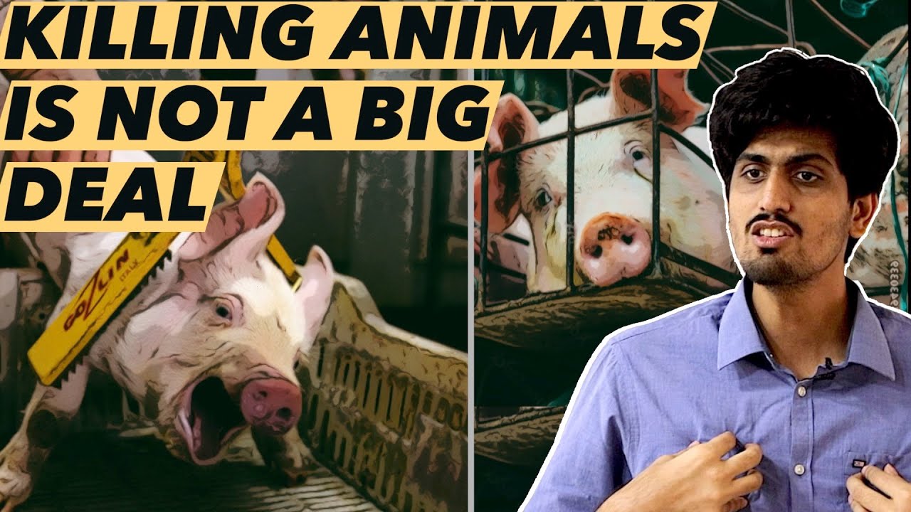 Killing Animals Is Not A Big Deal Inspirational Speech Animal stop-killing-animals-quotes-quotesgram