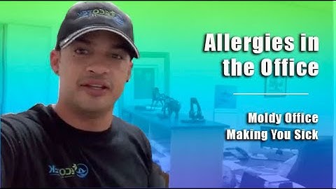 Allergies in the office: Moldy Office Making You Sick