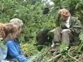 The Karisoke gorillas meet the Goodall family