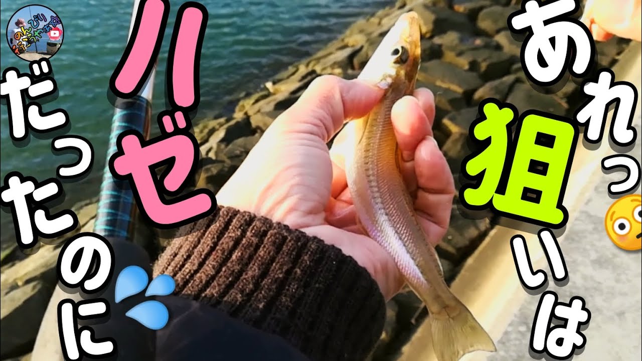 〚広島市〛ハゼの天ぷらが食べたくて釣りに行ったのだが...🤔釣れるのはキスばっかり💦落ちギスシーズンはまだ終わってないのか❓