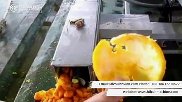 Fully Automatic Compelet Orange Citrus Pineapple Juicer Machine Extractor Equipment Processing Line