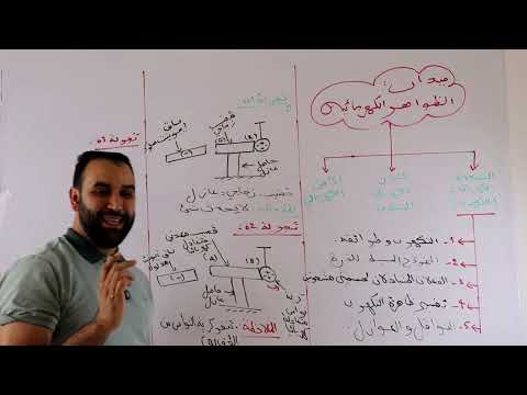 النواقل و العوازل ملخص مختصر للمقطع كاملا 