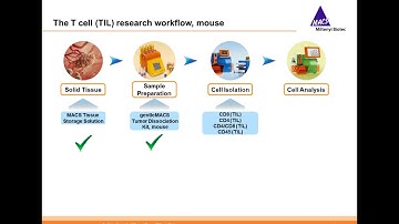 Handling of viscous liquids - Basics, Techniques and Tricks
