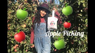 COME APPLE PICKING WITH ME || pumpkin patch, corn maze, haystack ride