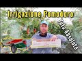 Aggiornamenti marzo 2023 Cassette Pick Up Irrigazione Tuta Absoluta Pomodoro [2×2]