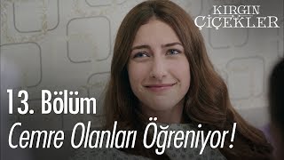 Cemre olanları öğreniyor! - Kırgın Çiçekler 13.  Resimi