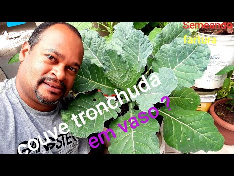 Video: Tronchuda kələminin istifadəsi – Portuqal kələm bitkilərinin yetişdirilməsi üçün məsləhətlər