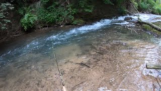 Fly Fishing Ultra Clear Water For Finicky Wild Brown Trout! ( Trout Fishing PA )
