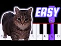 OIIAOIIA CAT MEME SONG EASY Piano Tutorial