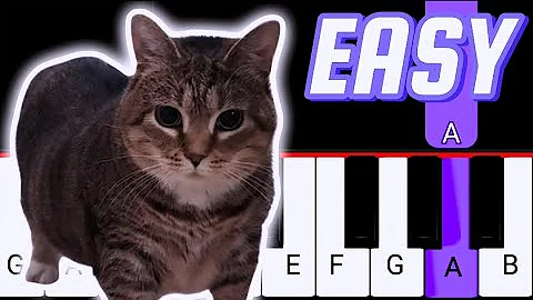 OIIAOIIA CAT MEME SONG EASY Piano Tutorial