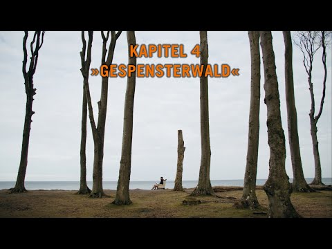"Niemals satt" – Monchis kleine Lesereise, Kapitel 4: Gespensterwald
