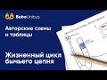 Жизненный цикл бычьего цепня| БИОЛОГИЯ ЕГЭ | Лина Клевер