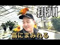掛川花鳥園で鳥まみれ！
