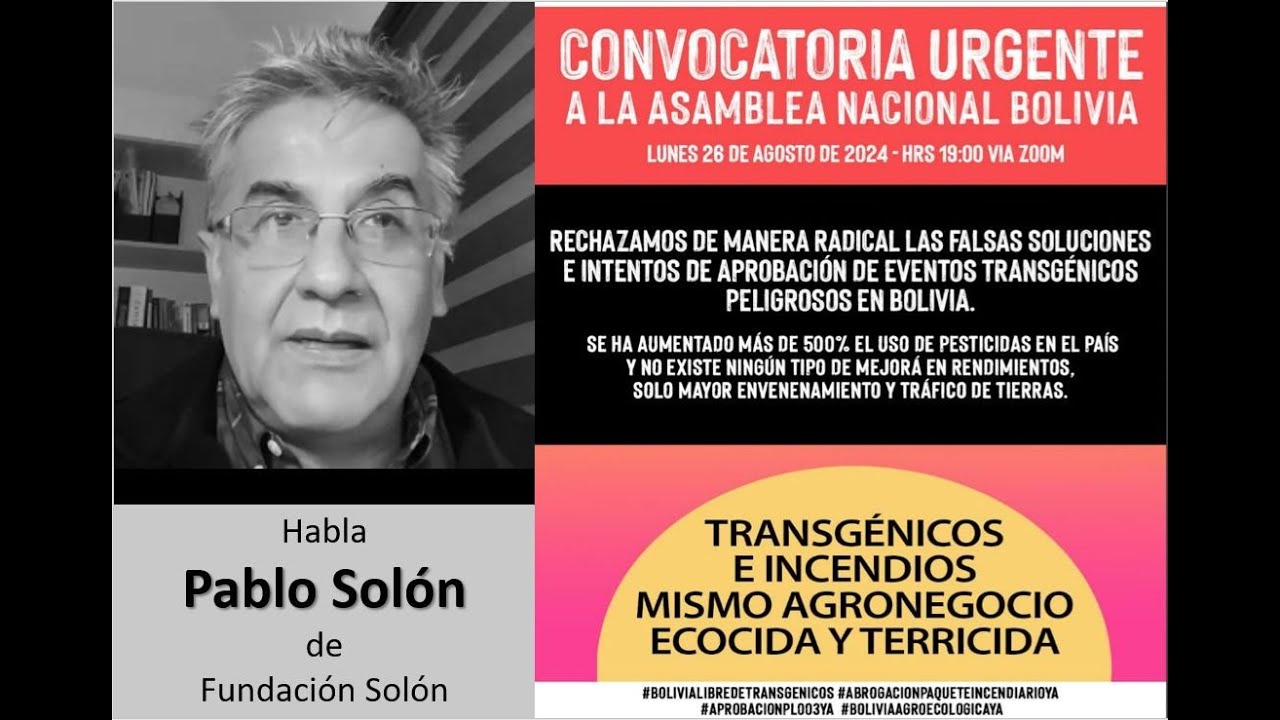 ARGUMENTOS contundentes para oponernos a los TRANSGENICOS