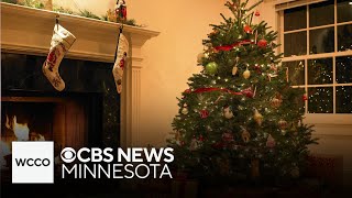 Tips for prolonging the life of your Christmas tree