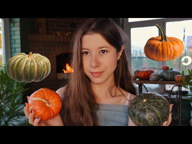 ASMR 🎃Pumpkin Review (tapping, rambling) Cozy! 