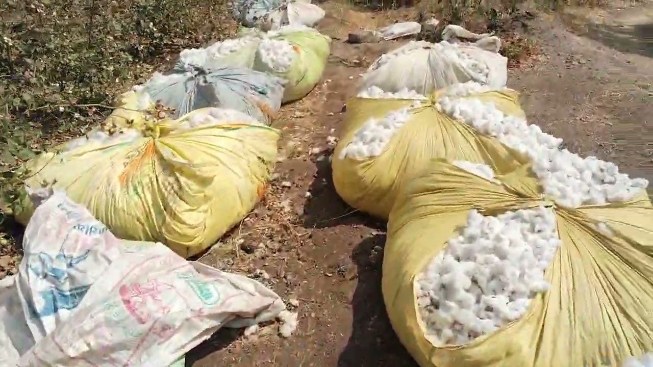 અમારા વિડિઓ જોવાનૂ ના ભૂલતા વિડિઓ ને લાઈક કરજો અને શેર કરી નાખજો