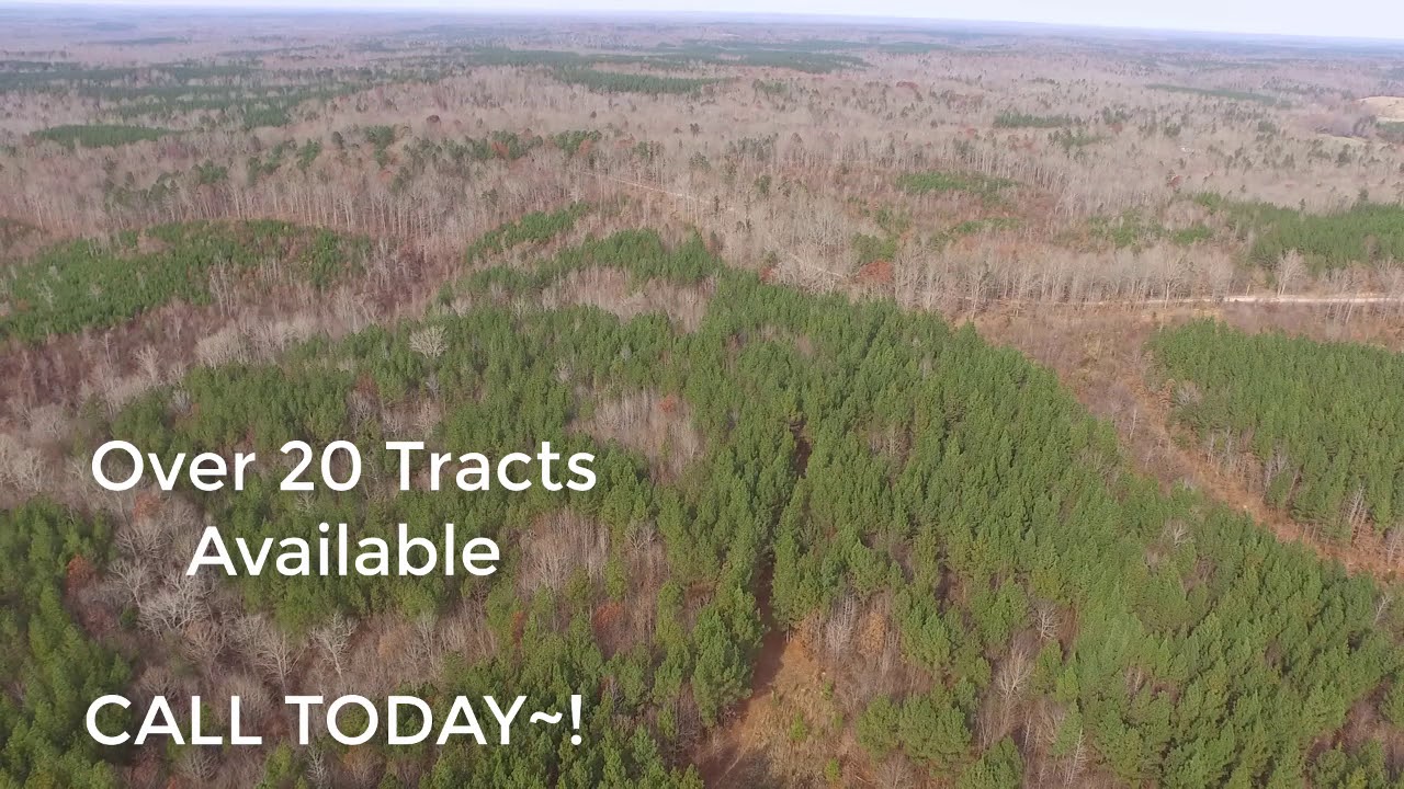 TRACT 20 36.78 ACRES OWNER FINANCE REAL ESTATE FOR SALE POCAHONTAS