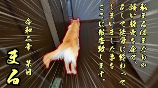 プチ脱走するゴールデンレトリバーまる