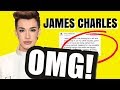 JAMES CHARLES SISTERS ATTACK ME EVERYDAY FOR MY OPINIONS