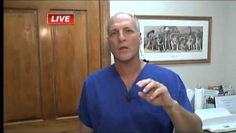 Veterinarian John Falgout from Beaumont West Anima...