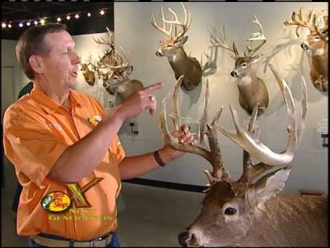 Bass Pro Shops Next Gen WOW Factor Deer Antlers