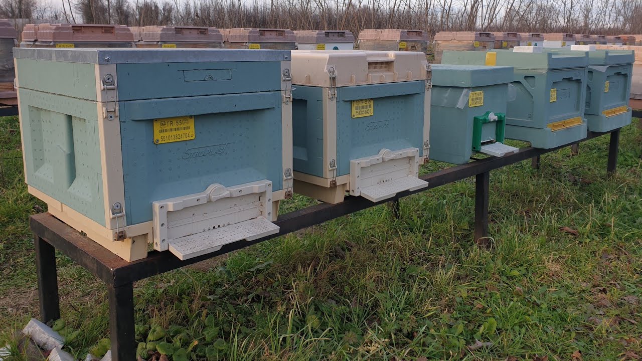 Strafor Kovanlarda Kış Çıkışı Ön Kontrol || Stroplast, Beebox ve Arıkent Strafor Ruşet