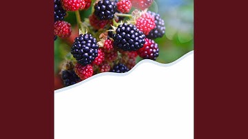 Remarkable Backdrops for Spa Days