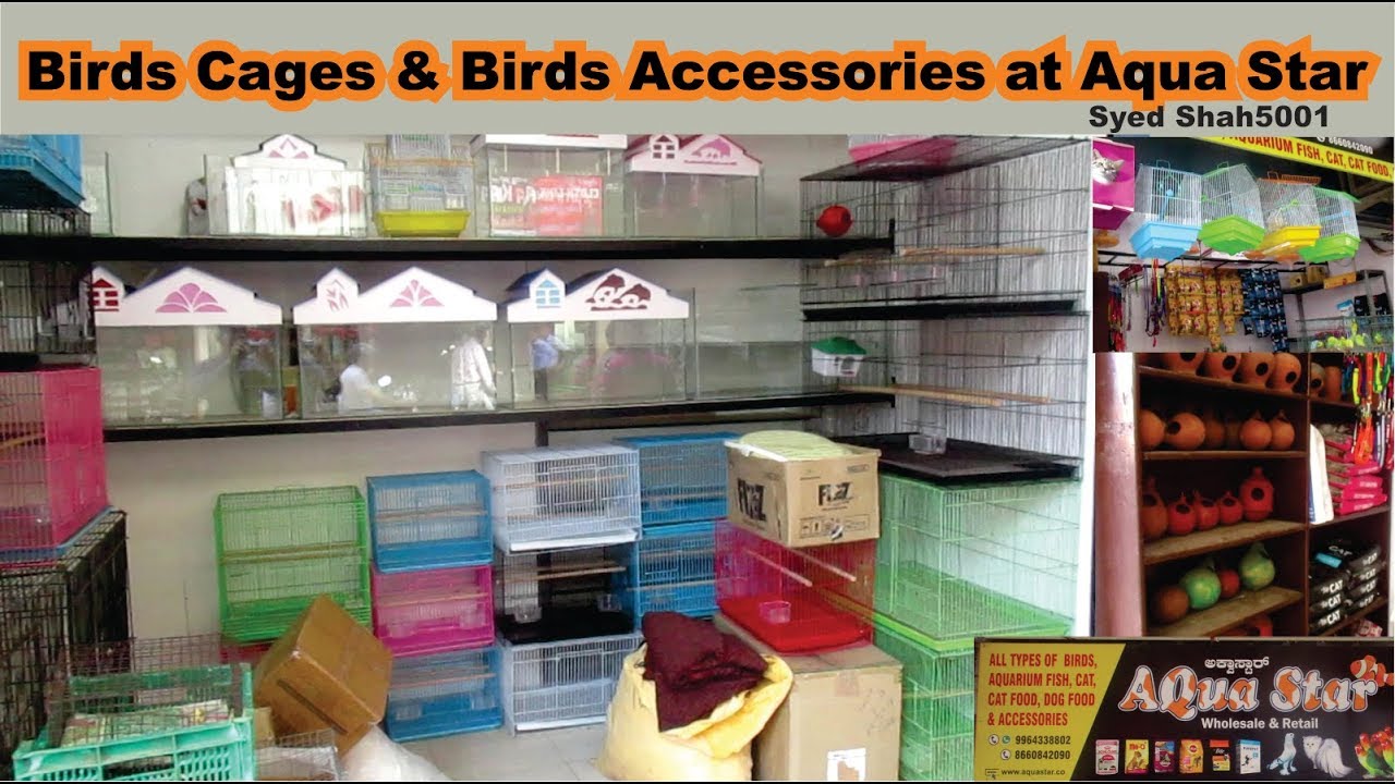 youtube green parrot channel Birds Products at Aqua star Manglore #Birds Cages