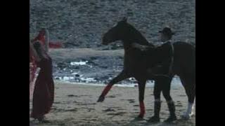 Dorantes Orobroy Flamenco Ecuestre Laura Pirri