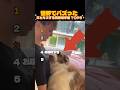 【爆笑】犬とキスする瞬間選手権TOP5 #shorts