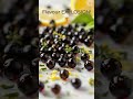 🔬🍋 THE SCIENCE BEHIND FLAVOR PEARLS!
