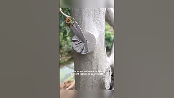 Wood Textured Cement Handrails  Stunning Design!