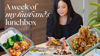 a week of husband’s lunchbox ep. 2 🍱  *easy comforting recipes*