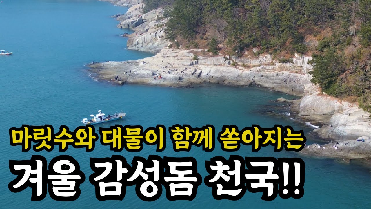 감성돔 낚시는 여기로 가세요 제발